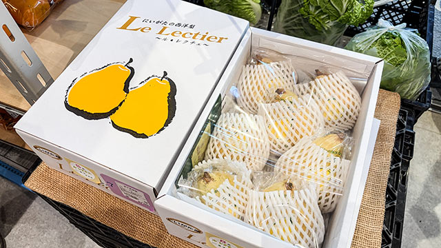 箱詰めされた〈ル レクチエ〉