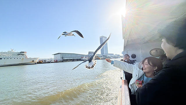 恐る恐るウミネコにお菓子をあげる参加者