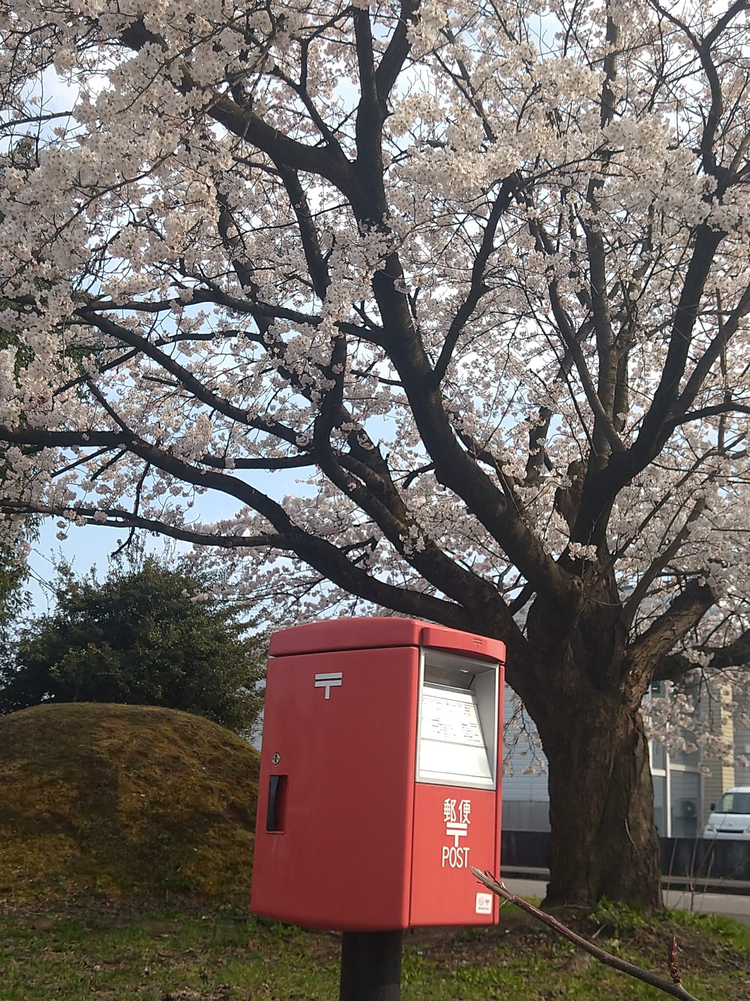 011_日本郵便信越支社賞2-nekosanrun