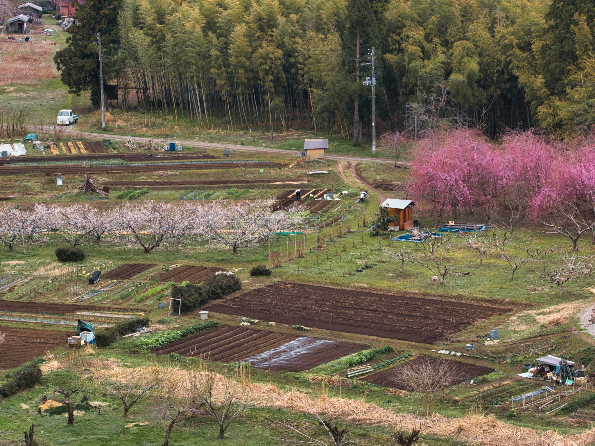 022_やさしい道の駅たがみ賞1位-zhecar3