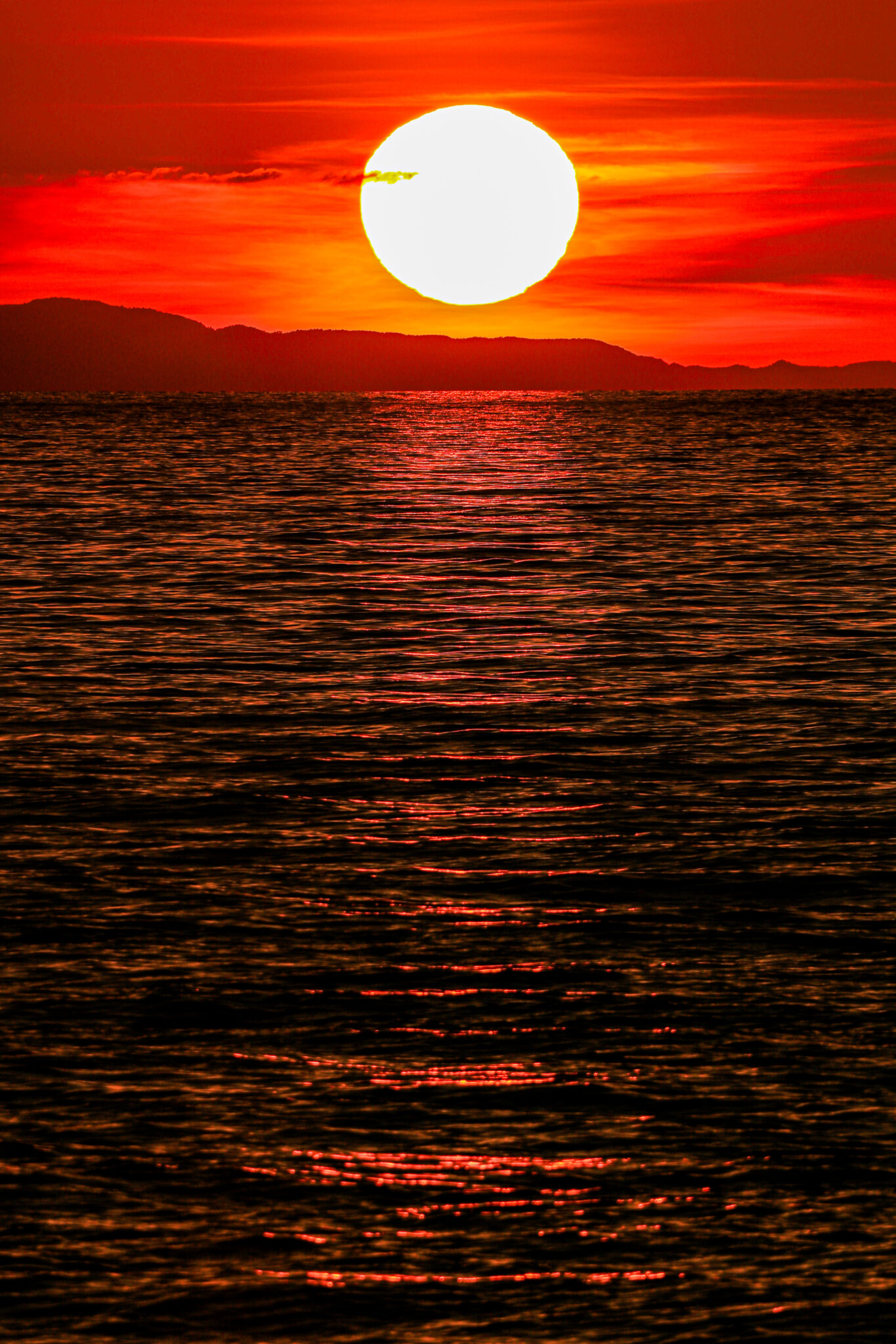 026_道の駅新潟ふるさと村賞2-na_r_asin12