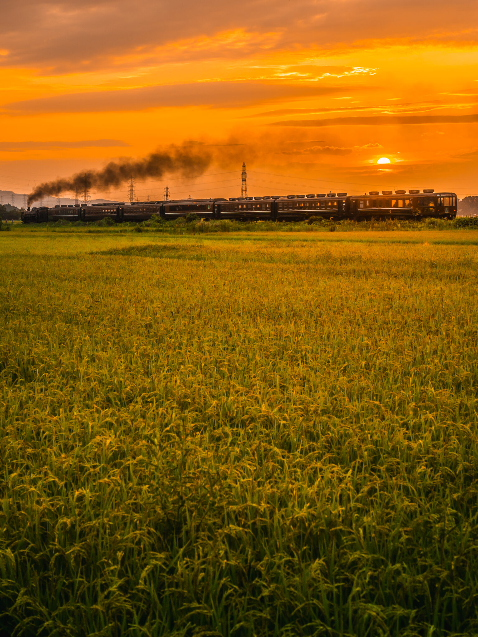 029_本当の豊かさ賞1位-araaakiii_a