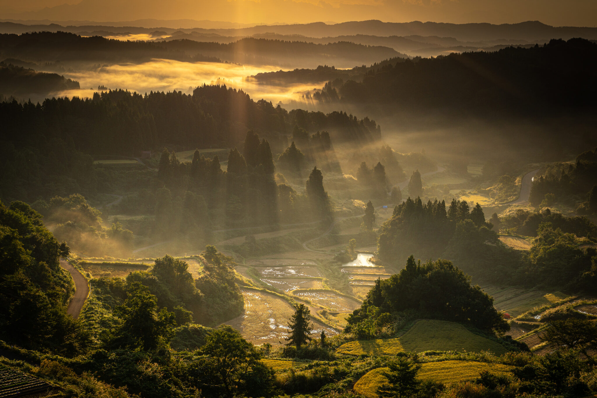 030_棚田みらい賞1位-nishi_sendon45