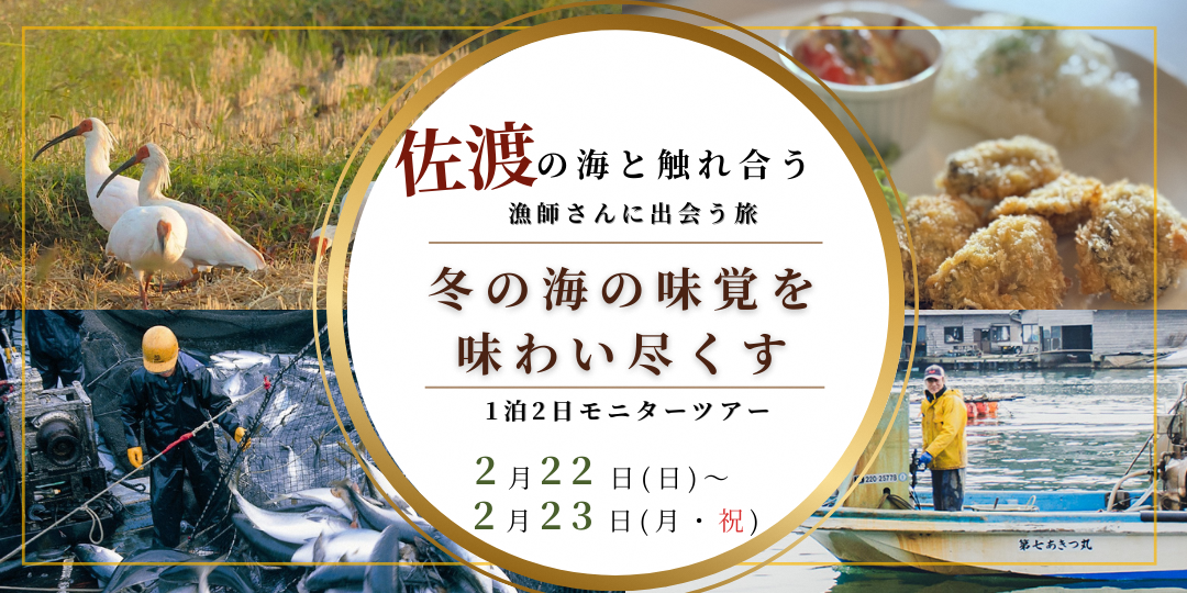R7_佐渡の海と触れ合う「寒ぶりを味わい・漁師さんに出会う旅・おさかなづくし佐渡の冬時間」_1080 x 540 px R7_佐渡の海と触れ合う「寒ぶりを味わい・漁師さんに出会う旅・おさかなづくし佐渡の冬時間」_1080 x 540 px