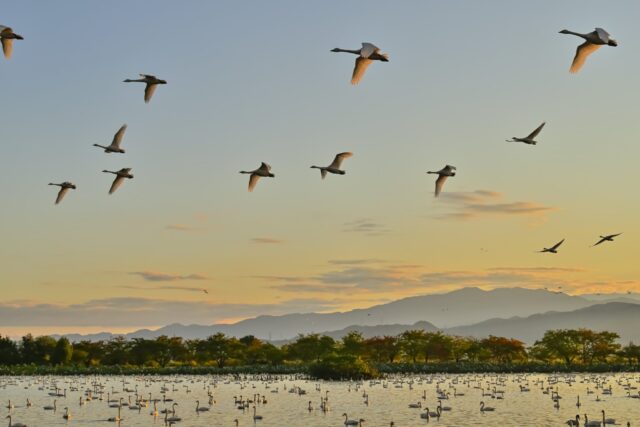 020_道の駅あがの賞2位-miyahiro64_1