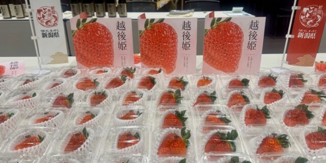 新潟の酒と食をつなぐおいしい時間。 朝日酒造 あさひ日本酒塾で出会う新潟県のオリジナル品種「越後姫」