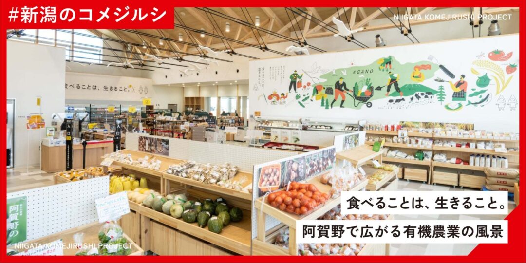 dbeb8045-11ae-4d49-be20-7200382005a1 dbeb8045-11ae-4d49-be20-7200382005a1