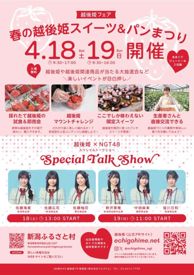 越後姫チラシデータ