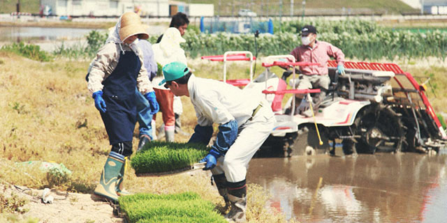 親戚一同集まっての田植えの様子