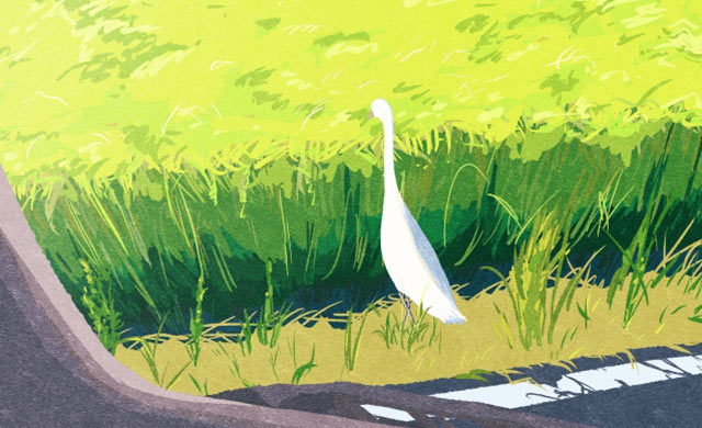 青々とした稲田に白いサギが佇む様子のイラスト