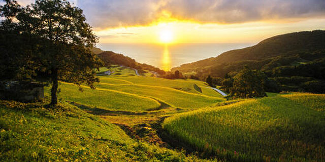 佐渡の岩首（いわくび）昇竜（しょうりゅう）棚田から望む朝日