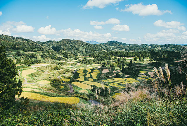 全国でも有数の美しい景観の星峠の棚田