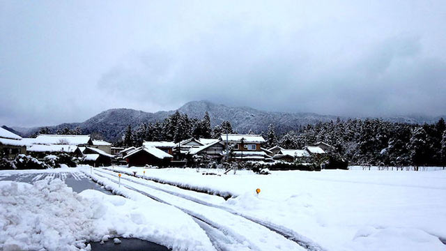 冬は一面を雪で覆われる田んぼ