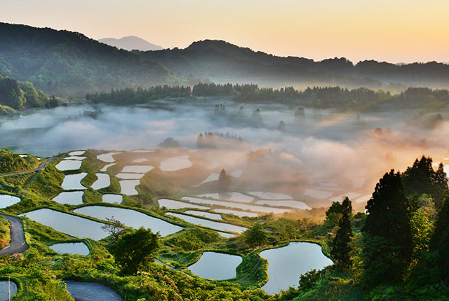 棚田県でもある新潟県の星峠から見える棚田の水鏡の風景