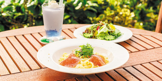 series-jimoto-082-ec
