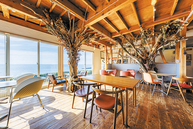 〈umicafe DONA〉の店内
