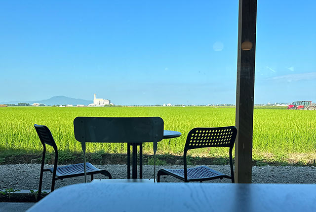 〈Farmer's kitchen BLACKBIRD〉の店内から見える広々とした田園風景