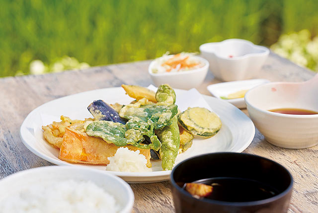 〈すがばたけ〉の「季節の野菜天ぷら定食」