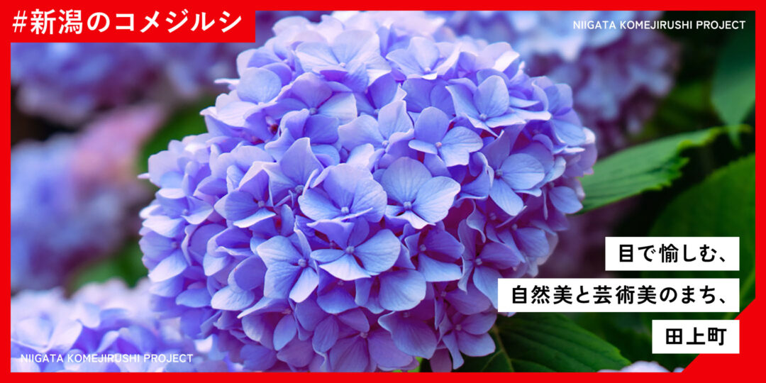 komejirushi-carrousel-cmn-komejirushi-55610