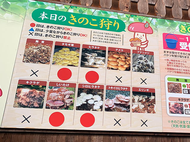 収穫できるきのこが示されている「今日のきのこ狩り」と題された大きな看板
