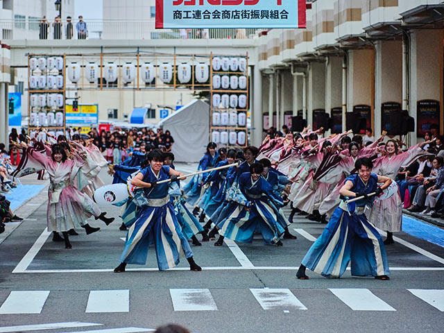 男振りは青、女振りはピンクを基調とした衣装で踊りを披露する〈早稲田大学よさこいチーム東京花火〉